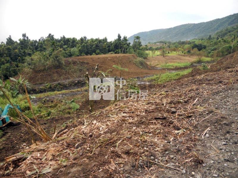 花蓮壽豐鄉5034坪農地房屋室內格局與周邊環境