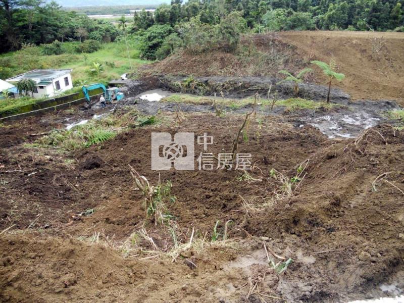 花蓮壽豐鄉5034坪農地房屋室內格局與周邊環境