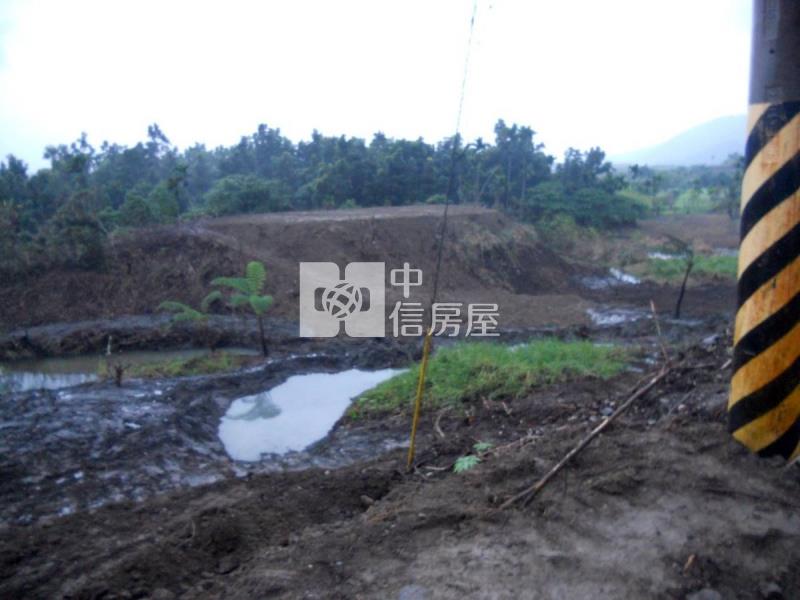 花蓮壽豐鄉5034坪農地房屋室內格局與周邊環境