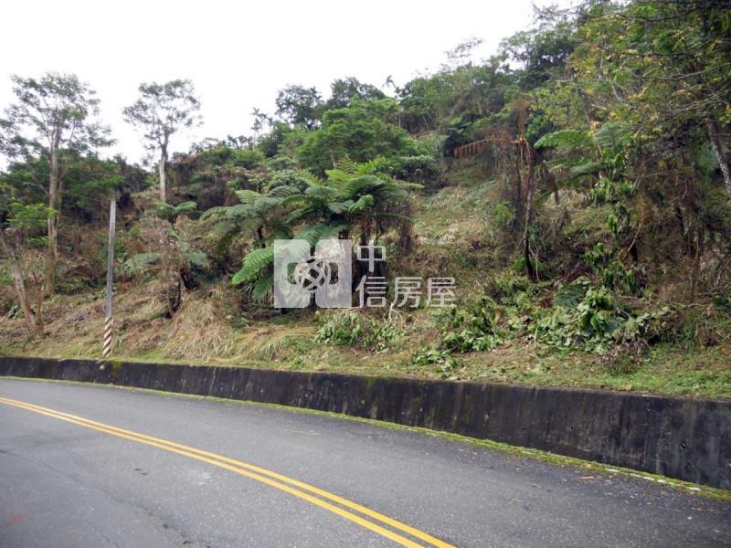 花蓮壽豐鄉5034坪農地房屋室內格局與周邊環境