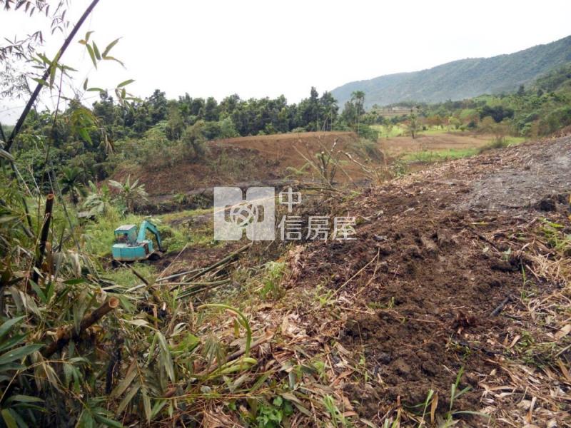 花蓮壽豐鄉5034坪農地房屋室內格局與周邊環境