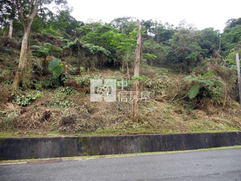 花蓮壽豐鄉5034坪農地房屋室內格局與周邊環境