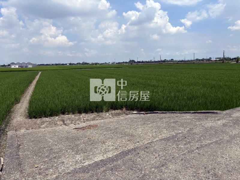 雲林大埤埔羌崙段方正農地房屋室內格局與周邊環境