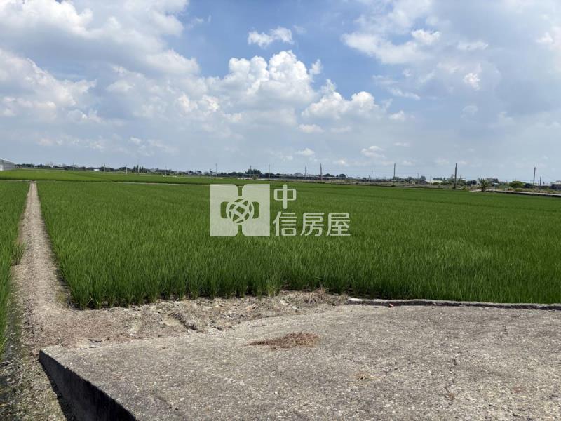 雲林大埤埔羌崙段方正農地房屋室內格局與周邊環境