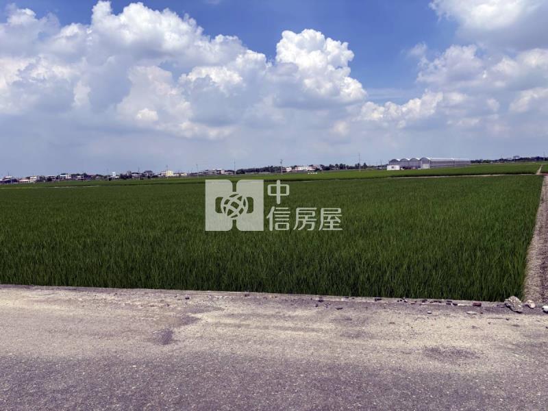 雲林大埤埔羌崙段方正農地房屋室內格局與周邊環境