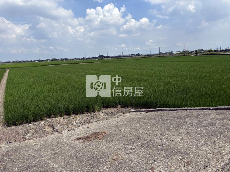 雲林大埤埔羌崙段方正農地房屋室內格局與周邊環境