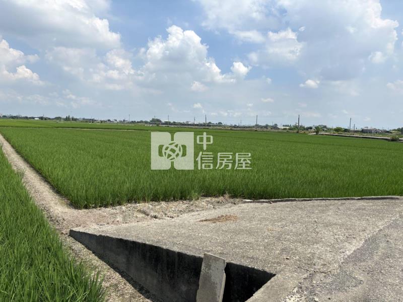 雲林大埤埔羌崙段方正農地房屋室內格局與周邊環境