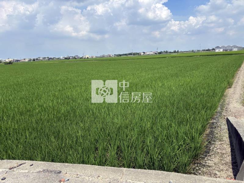 雲林大埤埔羌崙段方正農地房屋室內格局與周邊環境