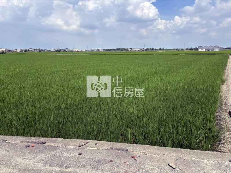 雲林大埤埔羌崙段方正農地房屋室內格局與周邊環境