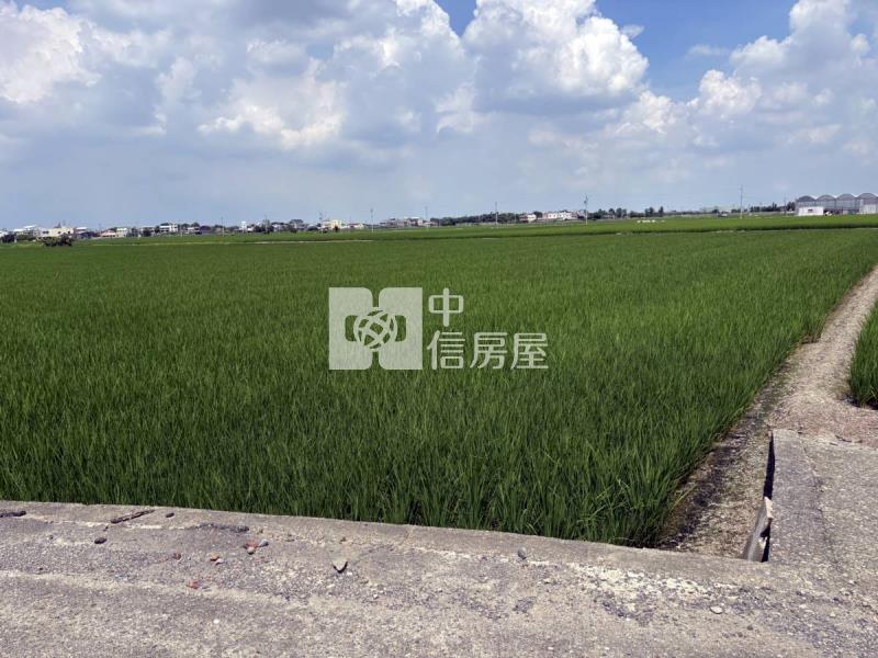 雲林大埤埔羌崙段方正農地房屋室內格局與周邊環境