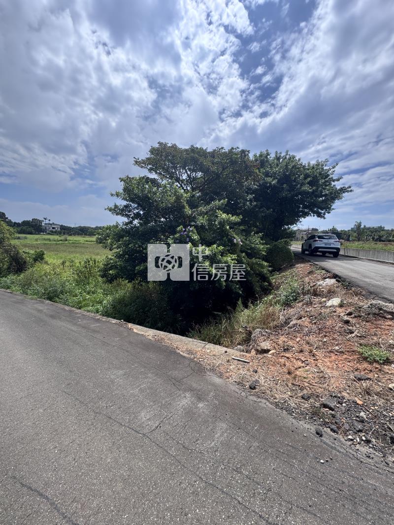 中壢區山上段313坪特農地房屋室內格局與周邊環境