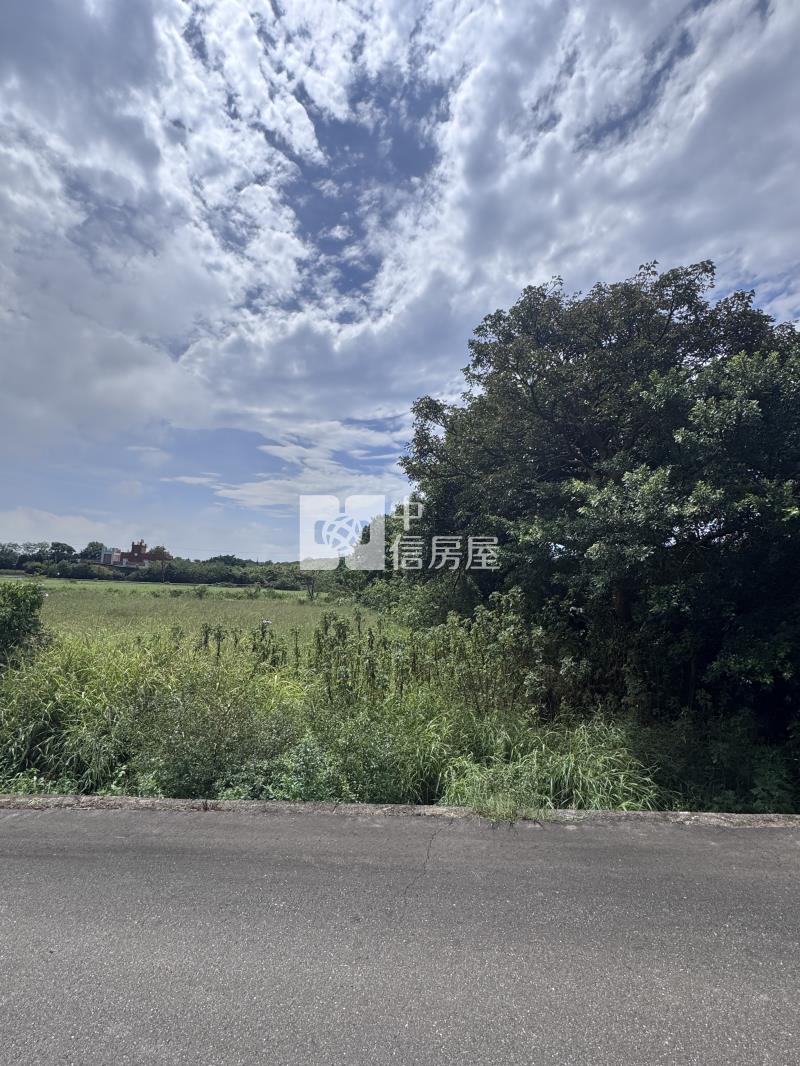 中壢區山上段313坪特農地房屋室內格局與周邊環境