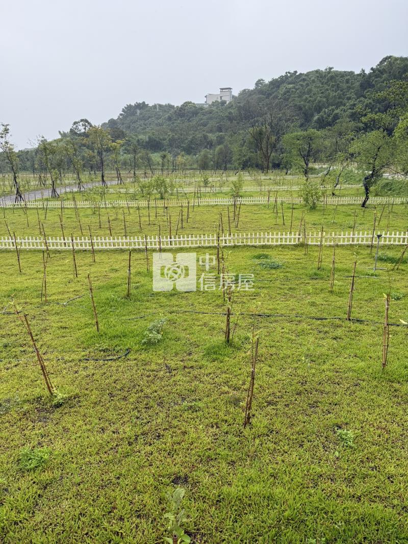 大溪金澤風景區美農地房屋室內格局與周邊環境