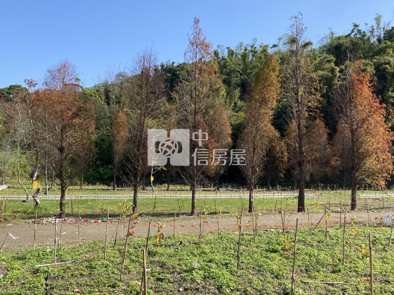 大溪金澤風景區美農地房屋室內格局與周邊環境