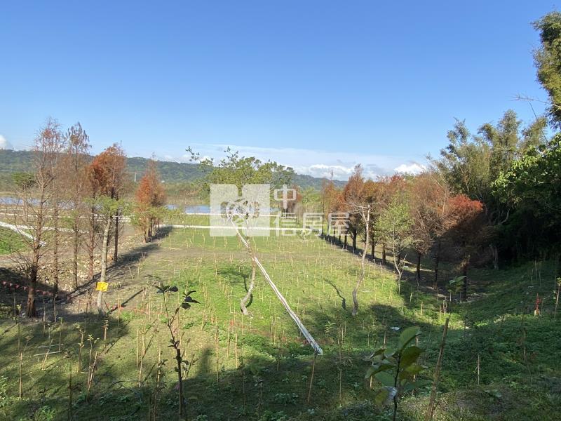 大溪金澤風景區美農地房屋室內格局與周邊環境