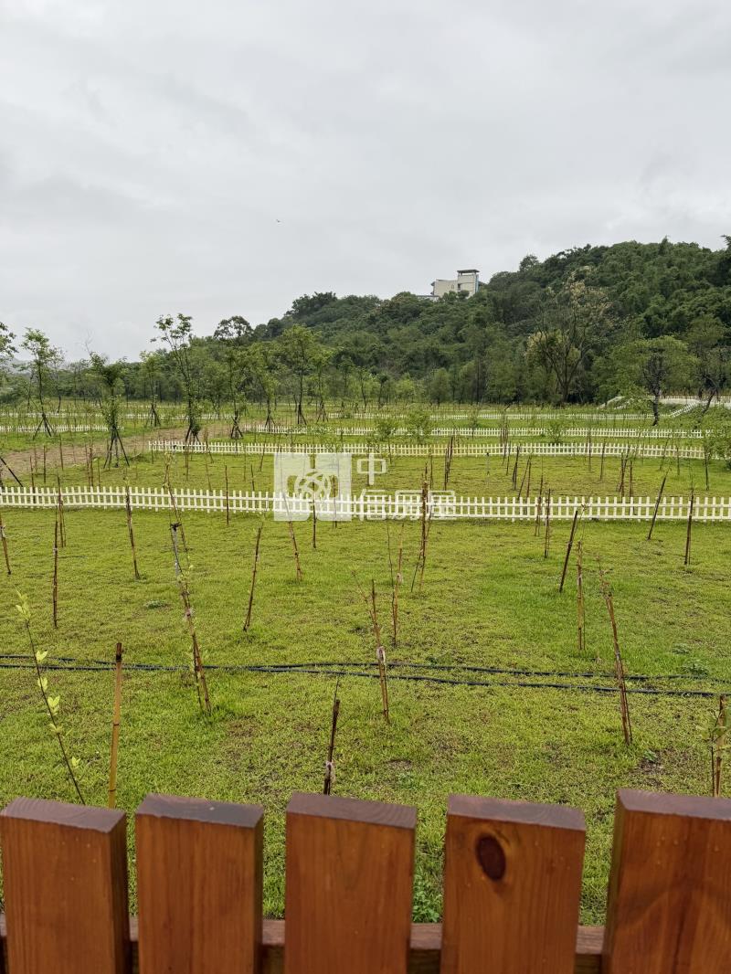 大溪金澤風景區美農地房屋室內格局與周邊環境