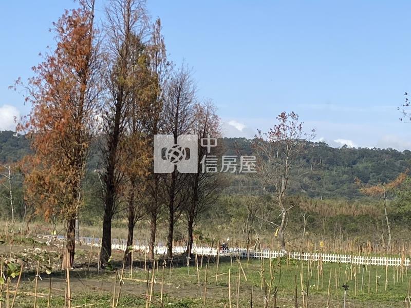 大溪金澤風景區美農地房屋室內格局與周邊環境