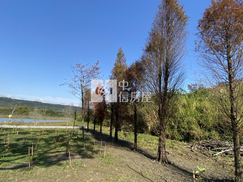 大溪金澤風景區美農地房屋室內格局與周邊環境