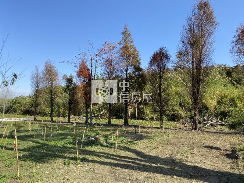 大溪金澤風景區美農地房屋室內格局與周邊環境