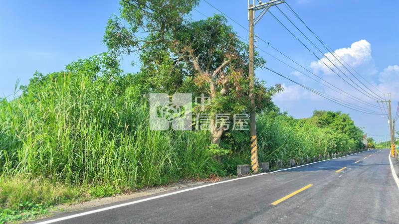 (專)山上區農地+道路用地房屋室內格局與周邊環境