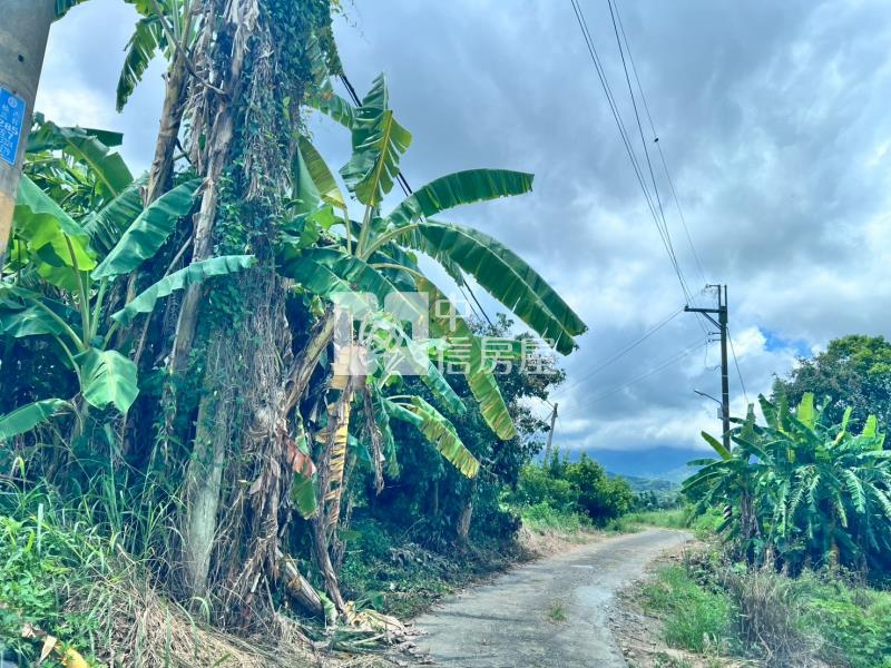 楠西一般農地房屋室內格局與周邊環境