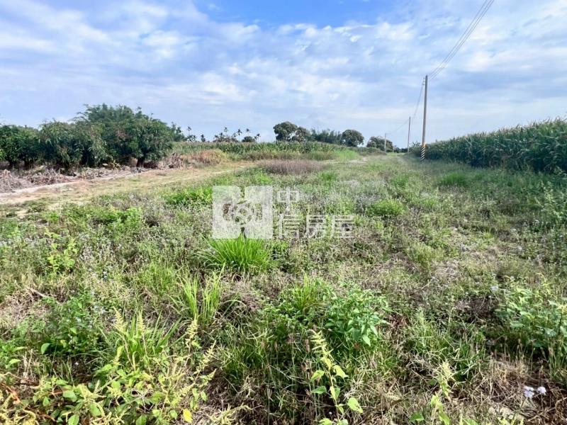 官田臨路5.2分一般農地房屋室內格局與周邊環境