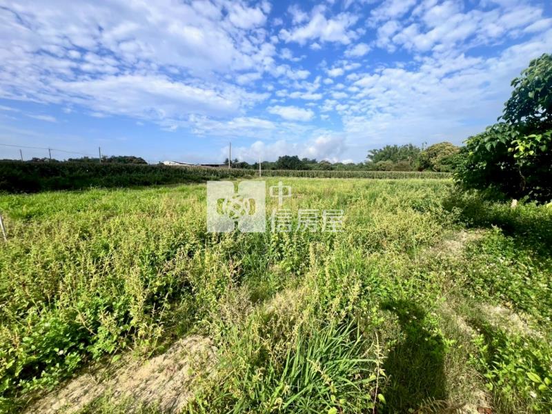 官田臨路5.2分一般農地房屋室內格局與周邊環境