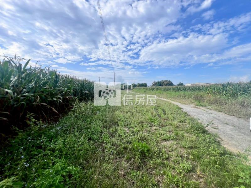 官田臨路5.2分一般農地房屋室內格局與周邊環境