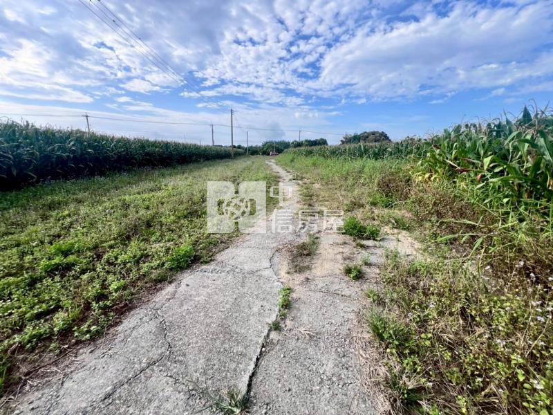 官田臨路5.2分一般農地房屋室內格局與周邊環境