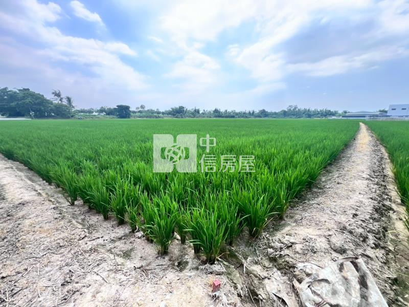 官田都內方正農地房屋室內格局與周邊環境