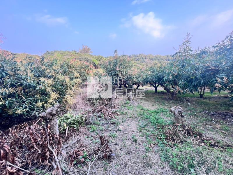 官田社子優質美農地房屋室內格局與周邊環境