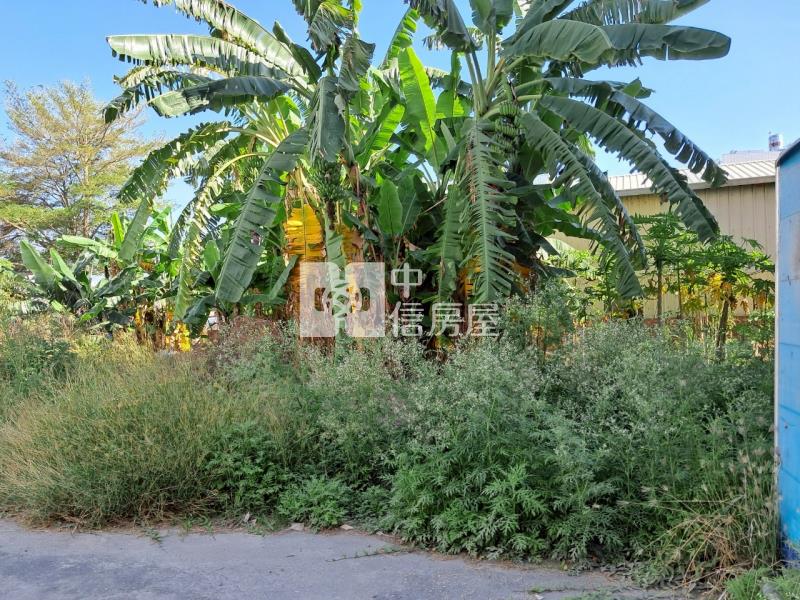 新營方正美建地房屋室內格局與周邊環境