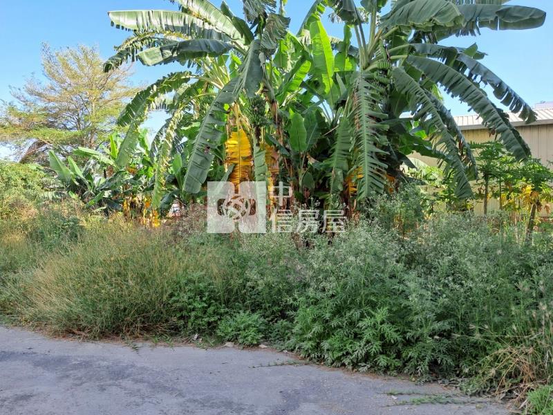 新營方正美建地房屋室內格局與周邊環境