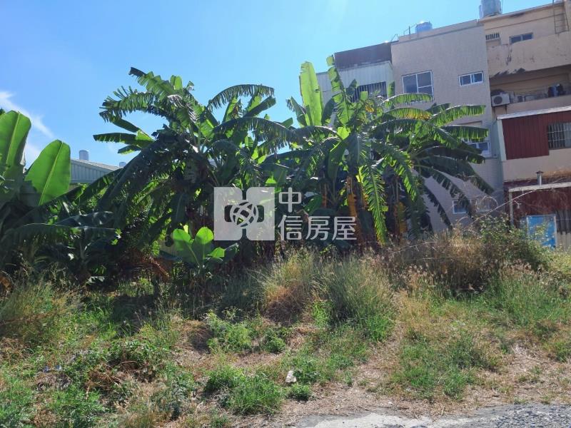 新營方正美建地房屋室內格局與周邊環境