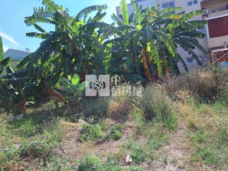 新營方正美建地房屋室內格局與周邊環境