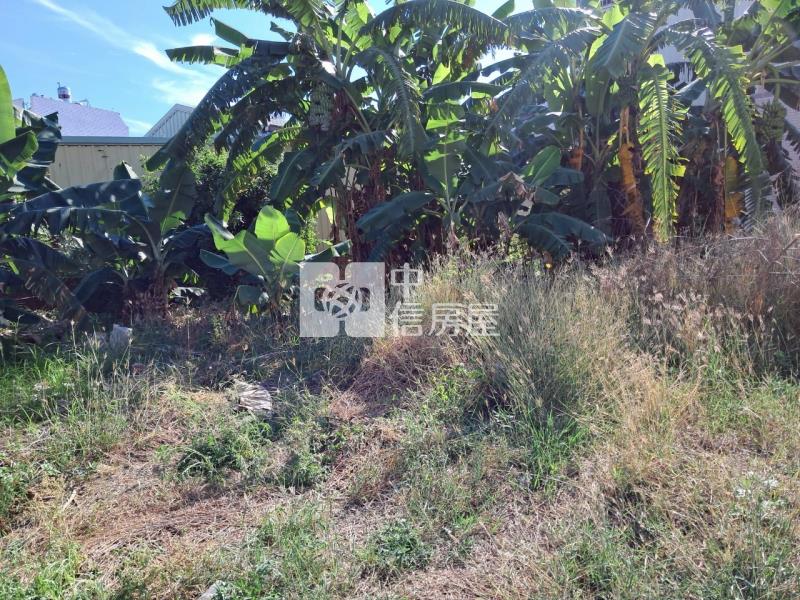 新營方正美建地房屋室內格局與周邊環境