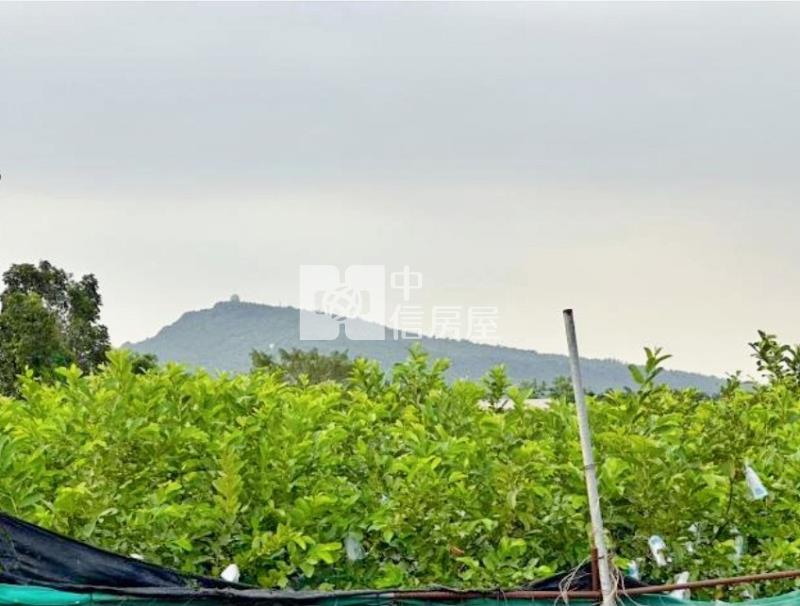 燕巢72米大面寬芭樂一般農地房屋室內格局與周邊環境