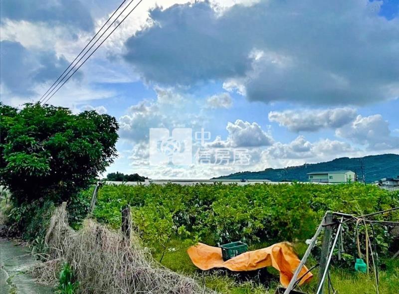 燕巢72米大面寬芭樂一般農地房屋室內格局與周邊環境