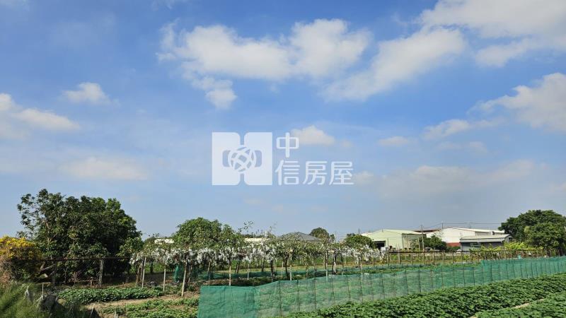 安定海寮6米路農地房屋室內格局與周邊環境