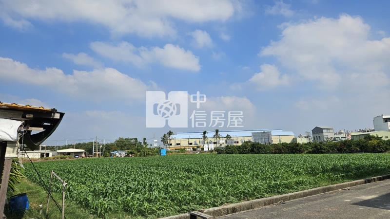 安定海寮6米路農地房屋室內格局與周邊環境