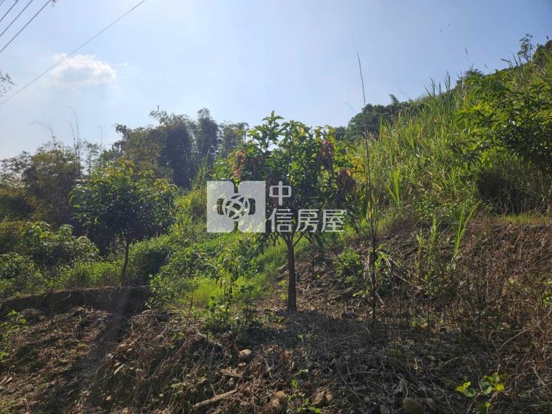 大內2.1甲國有農地承租權轉讓房屋室內格局與周邊環境