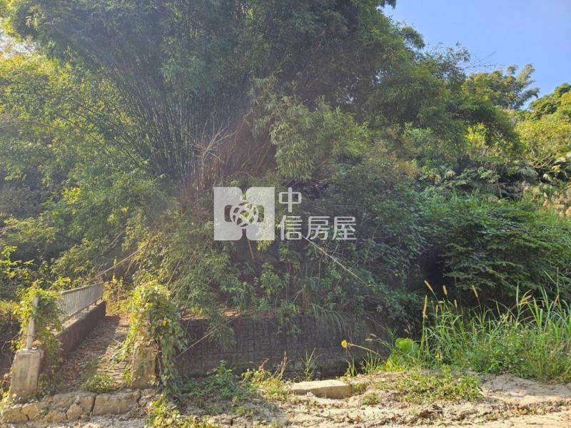 大內2.1甲國有農地承租權轉讓房屋室內格局與周邊環境