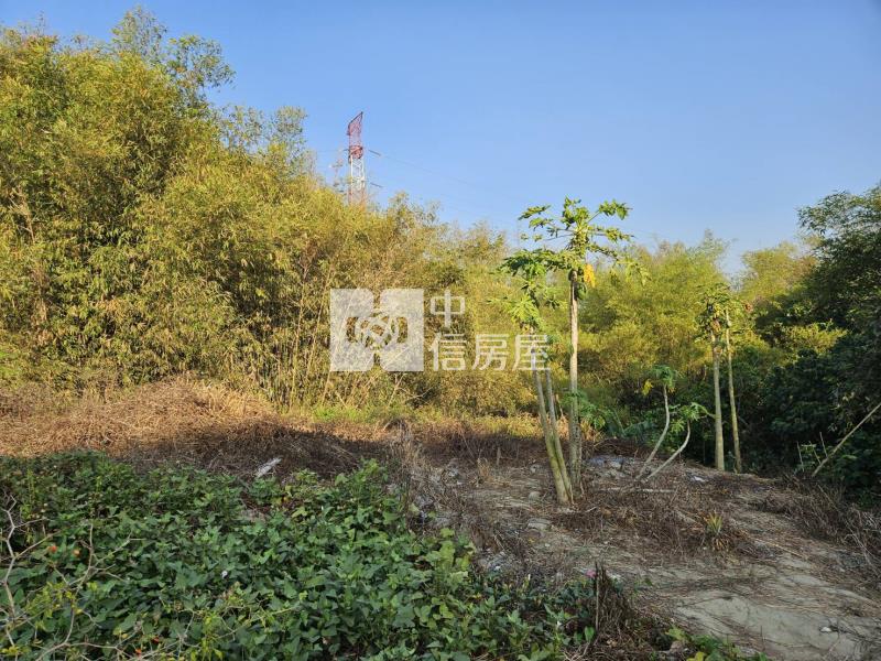 關廟龜洞美農地房屋室內格局與周邊環境