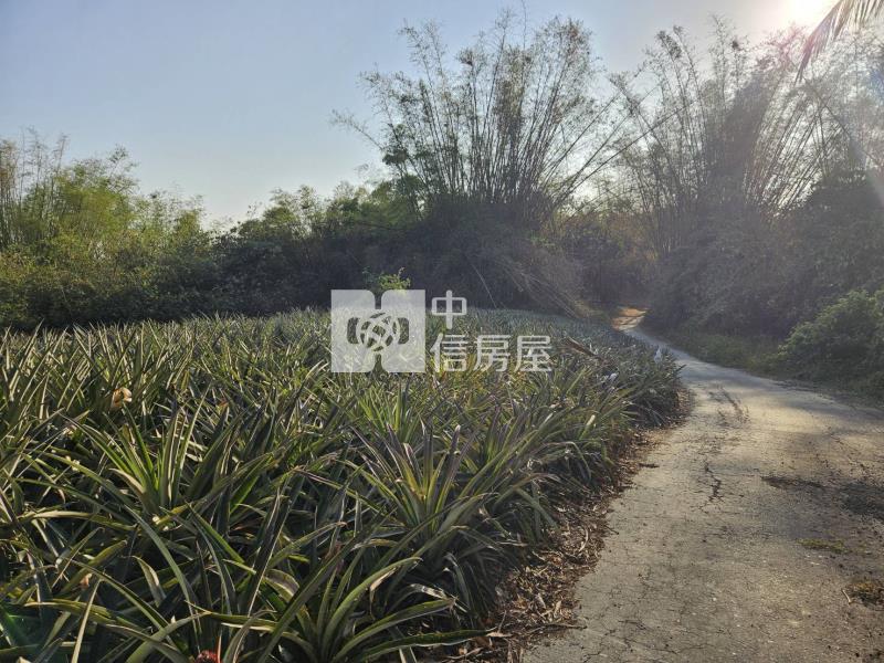 關廟龜洞美農地房屋室內格局與周邊環境