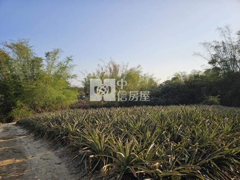 關廟龜洞美農地房屋室內格局與周邊環境