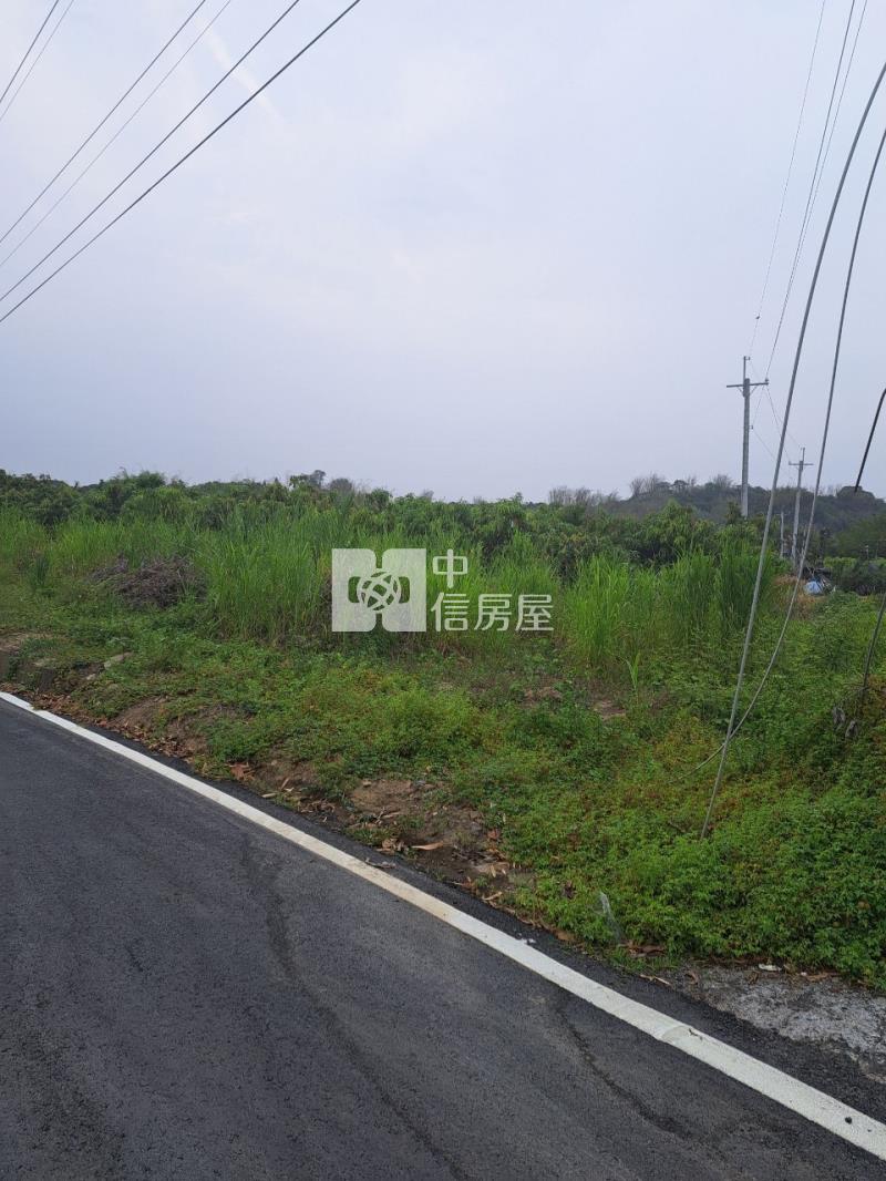 大內8米路4.9分農地房屋室內格局與周邊環境