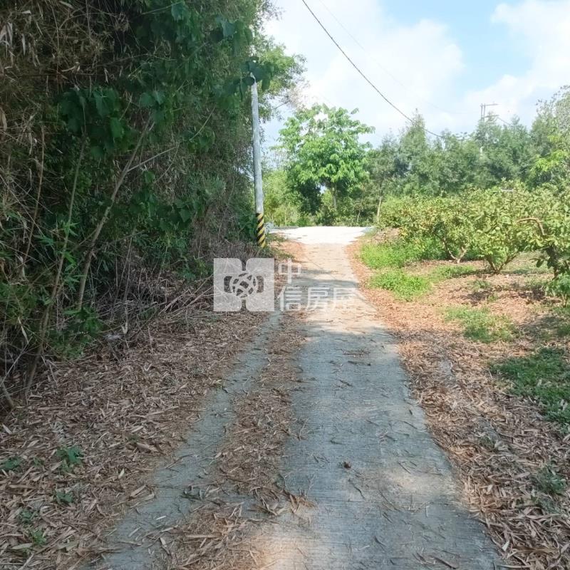 大內2.8分優美農地房屋室內格局與周邊環境