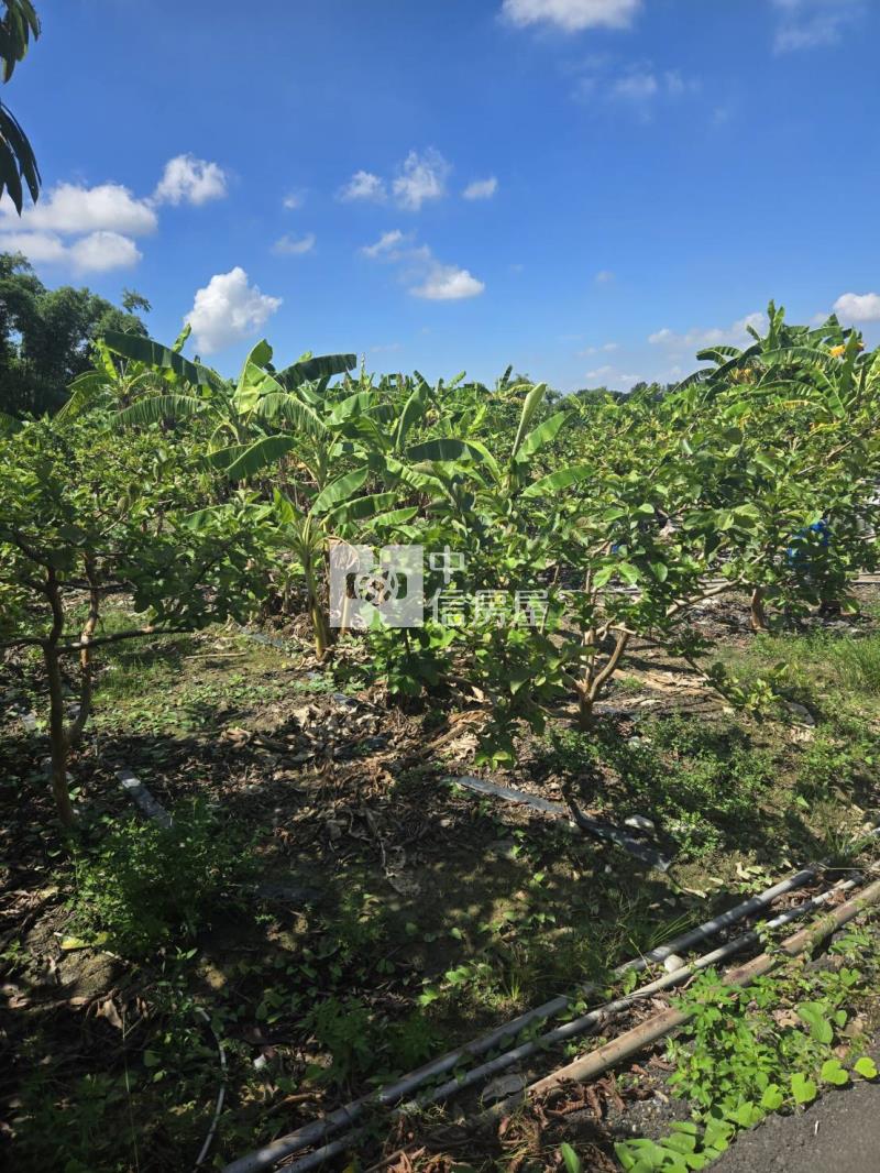 大內3分6臨路美美山坡地房屋室內格局與周邊環境