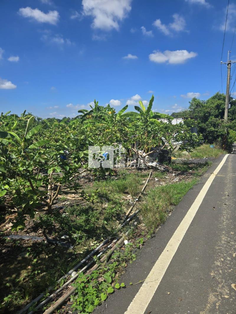 大內3分6臨路美美山坡地房屋室內格局與周邊環境