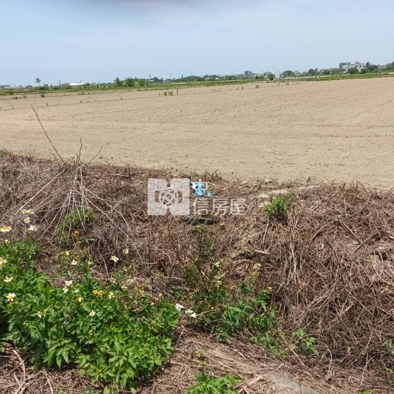 七股2.8分方正美農地(一)房屋室內格局與周邊環境